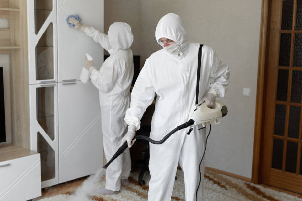 24/7 Emergency Odor Removal experts in Henderson, TN